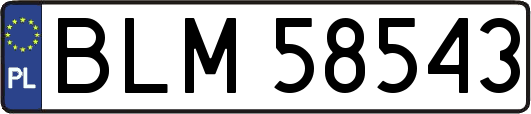 BLM58543