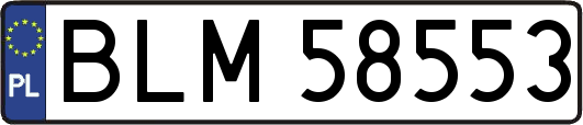BLM58553