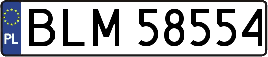 BLM58554
