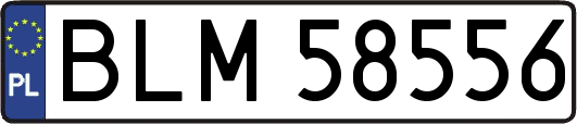 BLM58556