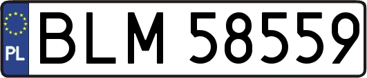 BLM58559