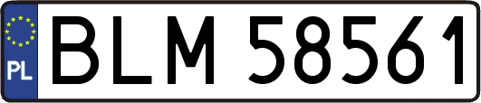 BLM58561