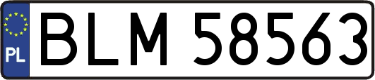 BLM58563