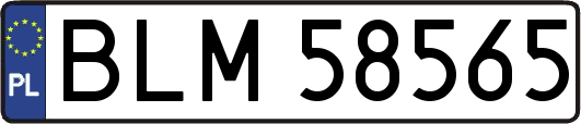 BLM58565
