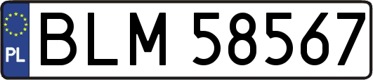 BLM58567