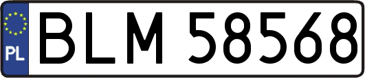 BLM58568