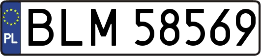 BLM58569