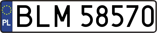 BLM58570