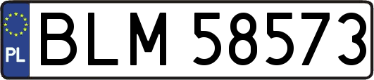 BLM58573