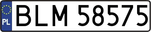 BLM58575