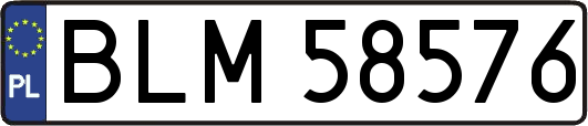 BLM58576