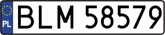 BLM58579