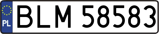 BLM58583