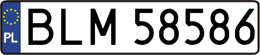 BLM58586