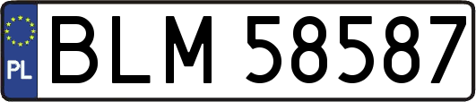 BLM58587