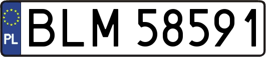 BLM58591