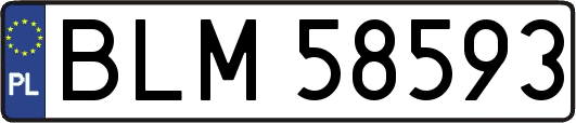 BLM58593