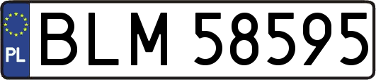 BLM58595