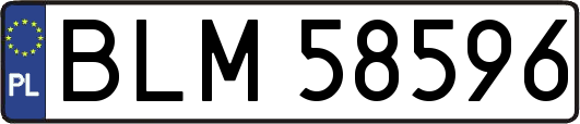 BLM58596