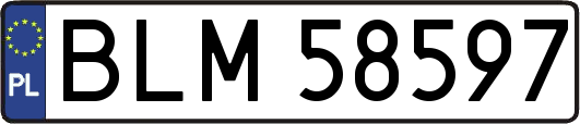 BLM58597