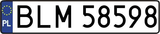 BLM58598