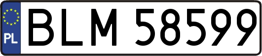 BLM58599