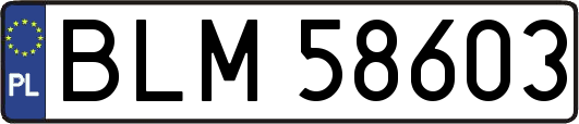 BLM58603