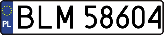 BLM58604