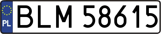 BLM58615