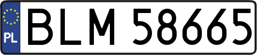 BLM58665