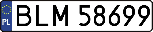BLM58699