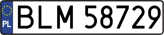 BLM58729
