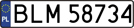 BLM58734