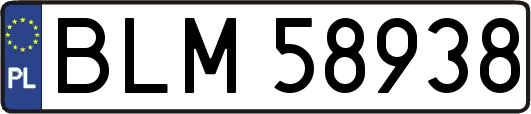 BLM58938