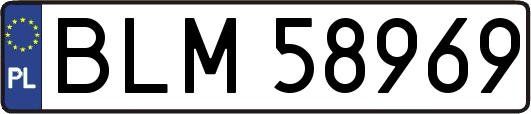BLM58969