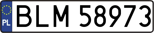 BLM58973