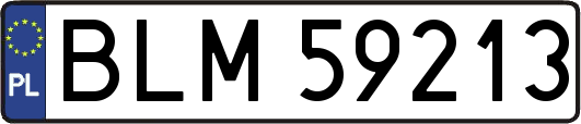 BLM59213
