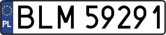BLM59291