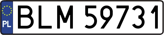 BLM59731