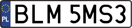 BLM5MS3