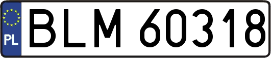 BLM60318