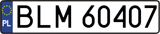 BLM60407