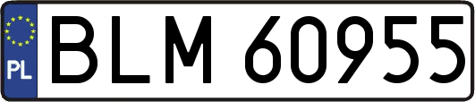 BLM60955