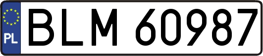 BLM60987