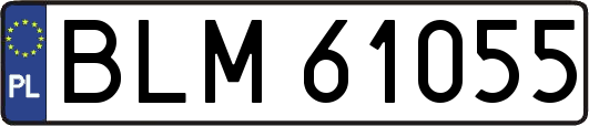 BLM61055
