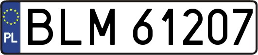 BLM61207