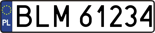 BLM61234