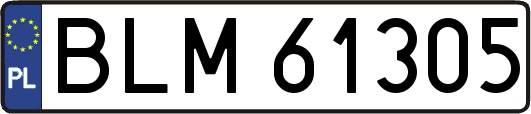 BLM61305