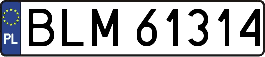 BLM61314