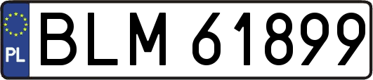BLM61899
